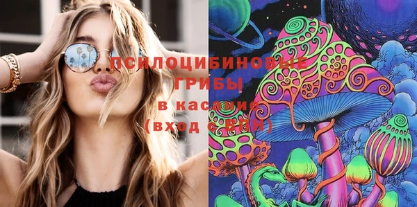 винт Михайловка